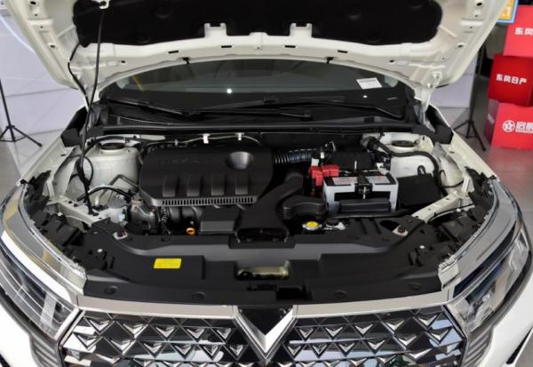 名副其實的孿生兄弟,差別待遇卻如雲泥 名副其實的孿生兄弟,差別待遇卻如雲泥