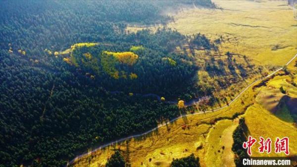 甘肅肅南馬蹄寺金秋時節層林盡染