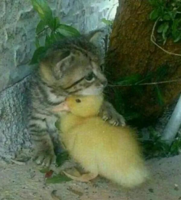 冬天雖冷,因為有你相擁而溫暖 冬天雖冷,因為有你相擁而溫暖