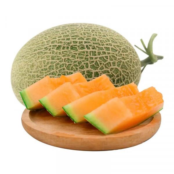 常見的十六種水果品種，你知道了幾種