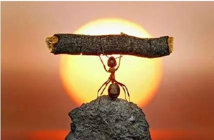 六種最容易掙大錢的人，看看你在不在其中