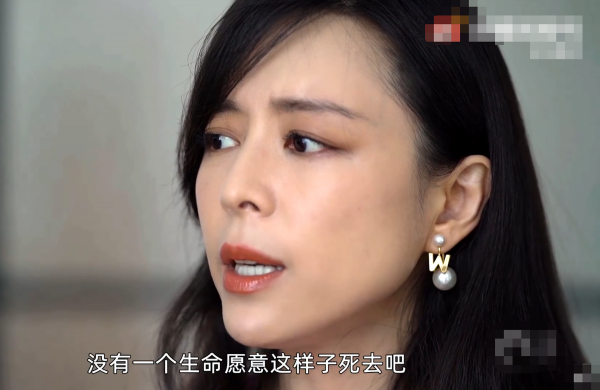 明星們的“奇葩論”,說話不過腦,有人自稱可以取代孫儷 明星們的“奇葩論”,說話不過腦,有人自稱可以取代孫儷