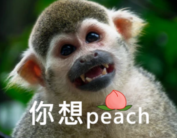 這8個小家電毀了我的生活!每一次下廚房都像是炸廚房…… 這8個小家電毀了我的生活!每一次下廚房都像是炸廚房……