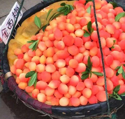 金西梅不是西梅，那究竟是什麼？遇見這種高顏值水果千萬別買