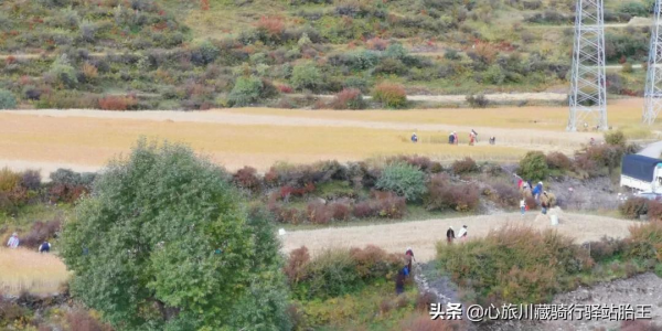 騎行川藏線也有平平無奇的風景，抵達“72拐”腳下--邦達鎮