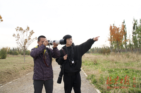 跟著觀鳥專家走趟綠心公園,兩小時竟遇到17種鳥 跟著觀鳥專家走趟綠心公園,兩小時竟遇到17種鳥