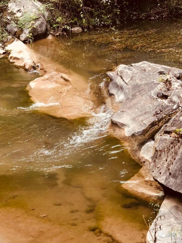 鳳凰歡樂谷的聯想