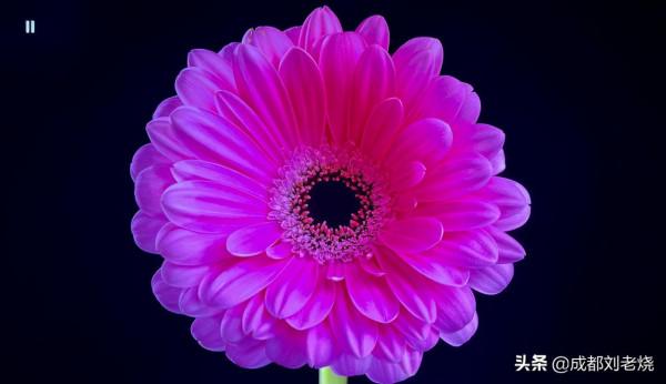 索尼85Z9J頂級8K電視開箱試玩(圖文)