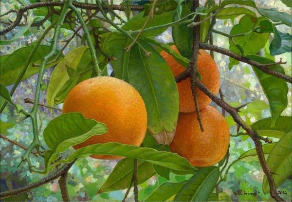 喬克·弗裡瑪的寫實作品欣賞