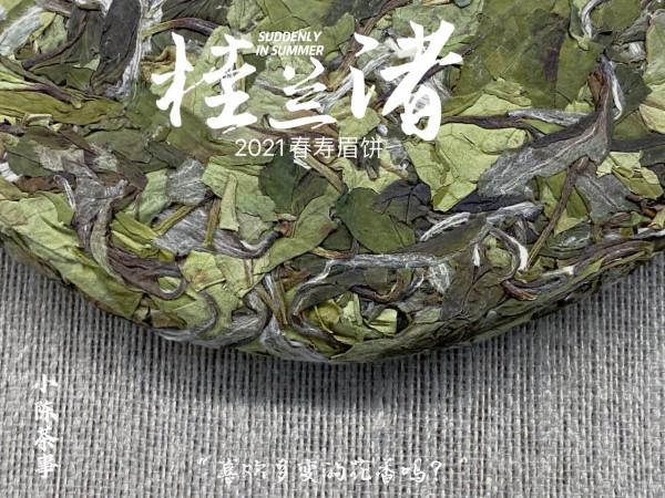 從芽頭、葉片到茶梗,教你分辨白牡丹餅與春壽眉餅,很全很詳細 從芽頭、葉片到茶梗,教你分辨白牡丹餅與春壽眉餅,很全很詳細