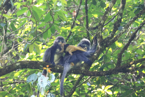 “世界自然基因庫”輕徒步 “世界自然基因庫”輕徒步