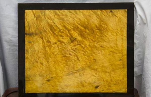 價值千金的金絲楠木，為什麼沒有人去種植呢？