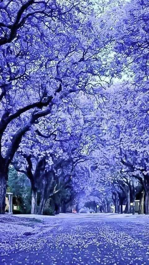 世界很大，風景很美，而你卻不是那個想走就走的人