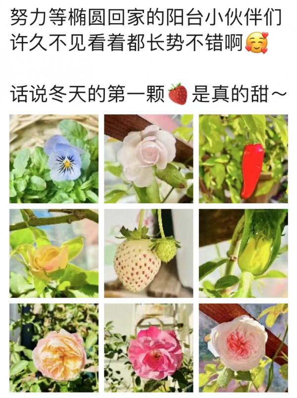 &OpenCurlyDoubleQuote;你這個肺部結節看上去&hellip;&hellip;&zwj;有家屬在嗎？&rdquo;