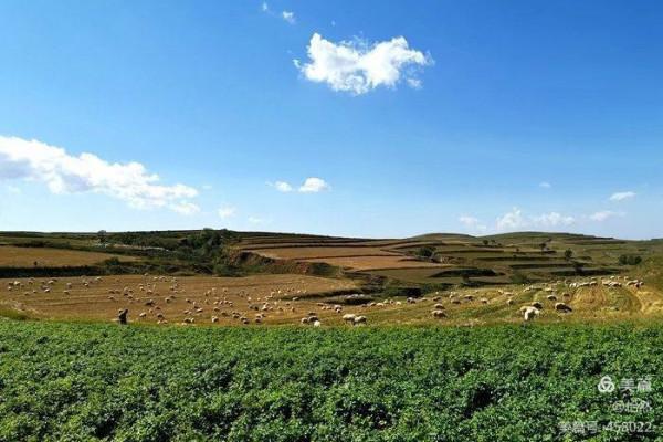 山西,讓我一次愛個夠之三——長城(大河堡到二道梁)古城與中秋 山西,讓我一次愛個夠之三——長城(大河堡到二道梁)古城與中秋