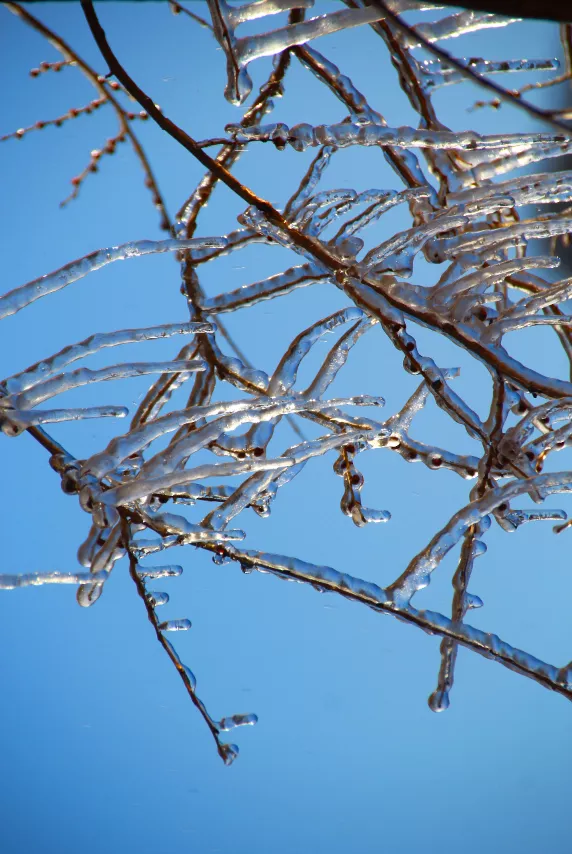 旅遊 | 快看！黃金寨出現冰掛美景