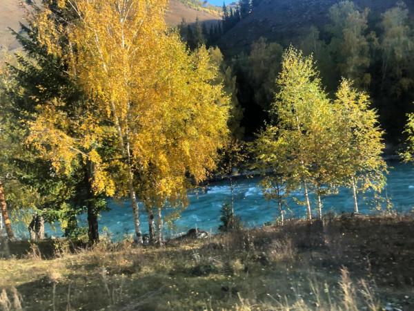 從禾木到喀那斯