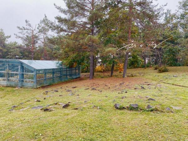 吉林敦化有一處古墓群，歷史超過千年，已是全國重點文物保護單位