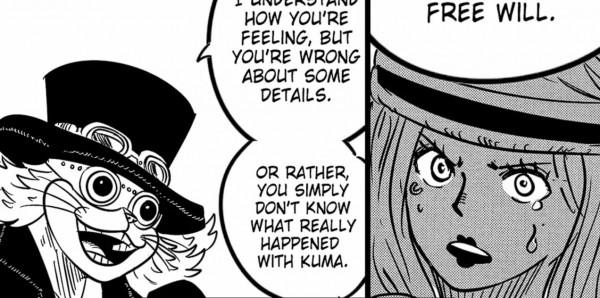 海賊王番外篇之營救暴君熊的計劃