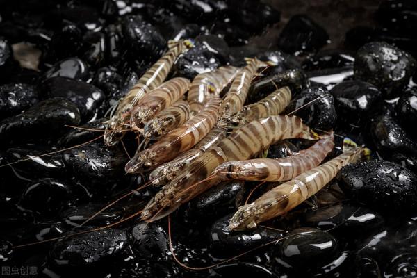 一隻基圍蝦引發的“血案”!常吃海鮮的人要注意 一隻基圍蝦引發的“血案”!常吃海鮮的人要注意