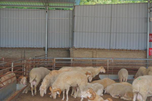 農村又一新規釋出,村幹部又要忙起來了,這幾類建築將會被拆除 農村又一新規釋出,村幹部又要忙起來了,這幾類建築將會被拆除