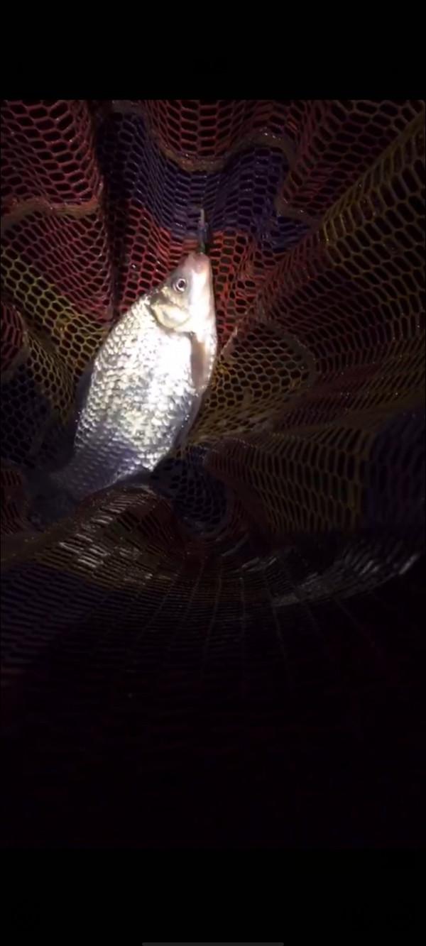 垂釣之旅——日行千里，只為漁你相見