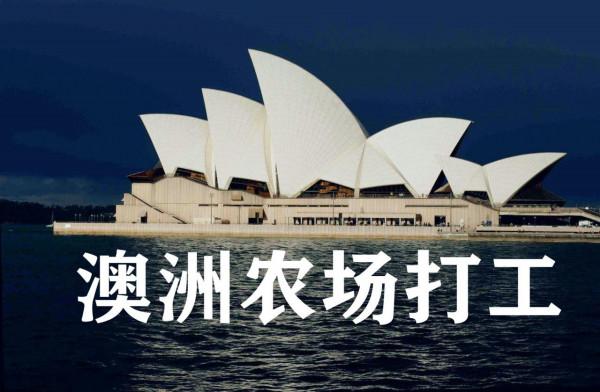 澳洲打工：在澳洲農場打工（做揹包客）的收益與風險