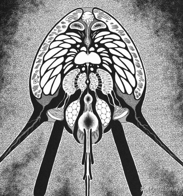 「強殖裝甲」41話—探索!生物宇宙船的秘密其一 「強殖裝甲」41話—探索!生物宇宙船的秘密其一