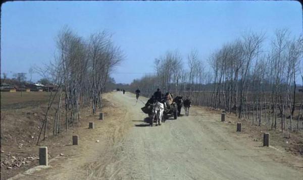 一張手紙,兩條人命 一張手紙,兩條人命