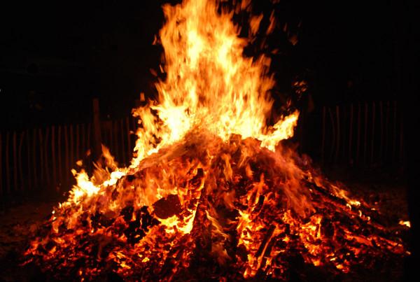 部隊陷入絕境，空中忽然飛過一群鳥兒，嚮導大喜：咱們有救了