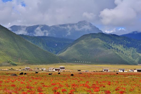 雲南這幾個地方的美景,才是深秋的正確開啟方式,絕美而又低調 雲南這幾個地方的美景,才是深秋的正確開啟方式,絕美而又低調
