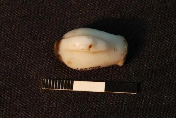 鴨子，身披落霞飛到尋常百姓家