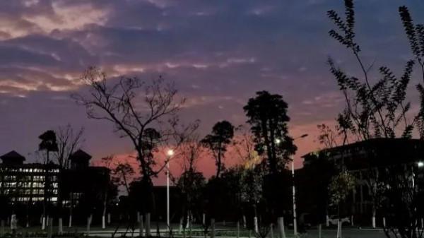 《人間失格》:生而為人,我很抱歉(中篇) 《人間失格》:生而為人,我很抱歉(中篇)