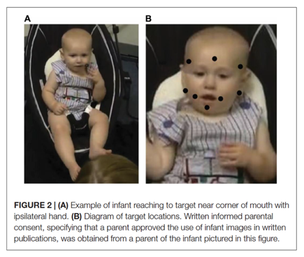 俏管家，為什麼寶寶愛打媽媽的臉背後藏著你不知道的嬰幼兒心理學