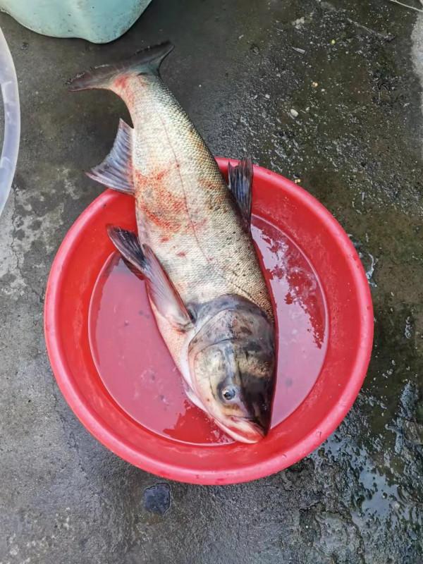 與光威同行 與光威同行