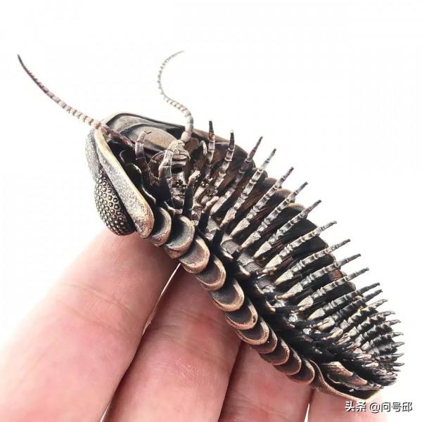 分子生物學家創造出錯綜複雜的金屬雕塑，將科學與藝術完美融合