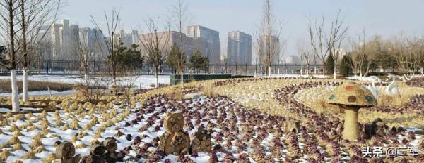 玉淵潭是個好地方：冬看雪春賞櫻夏親水秋觀葉