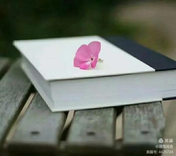 散文《以書為伴》 散文《以書為伴》