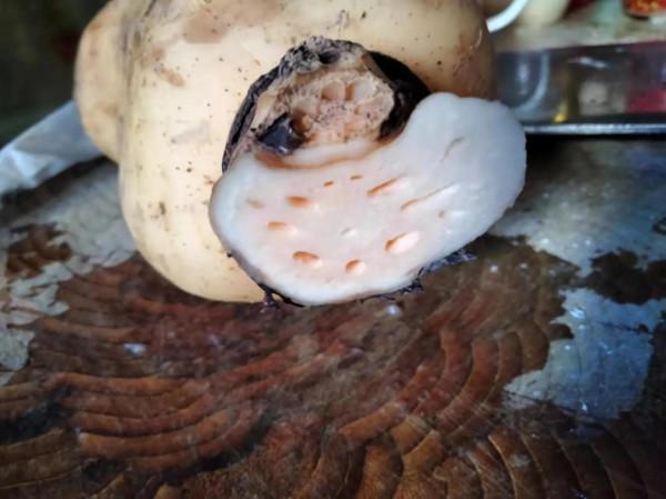 怎樣燉蓮藕湯 怎樣燉蓮藕湯