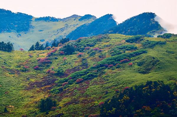 湖北一林區,一年四季天氣氣溫適中,遊客來了都捨不得離開 湖北一林區,一年四季天氣氣溫適中,遊客來了都捨不得離開
