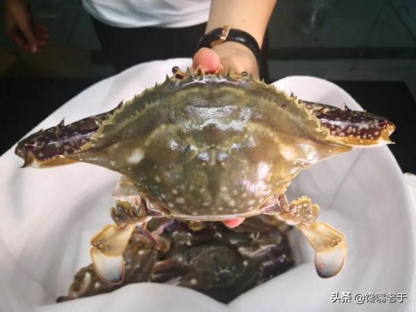 買梭子蟹：個頭大未必好，老漁民教你一招，個個“頂蓋肥”，太香