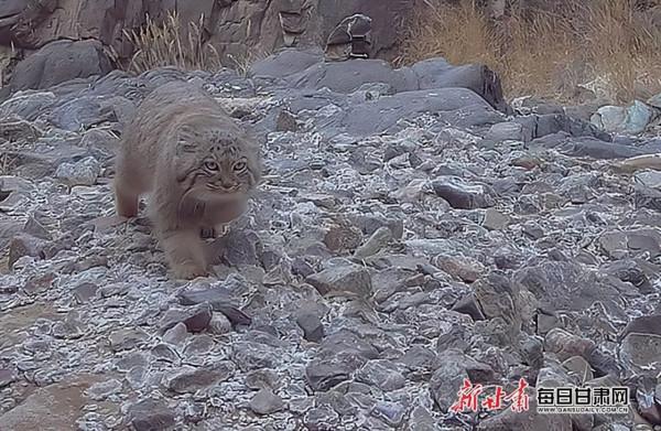 202“憶”② | 這些不期而遇，有靈且美！