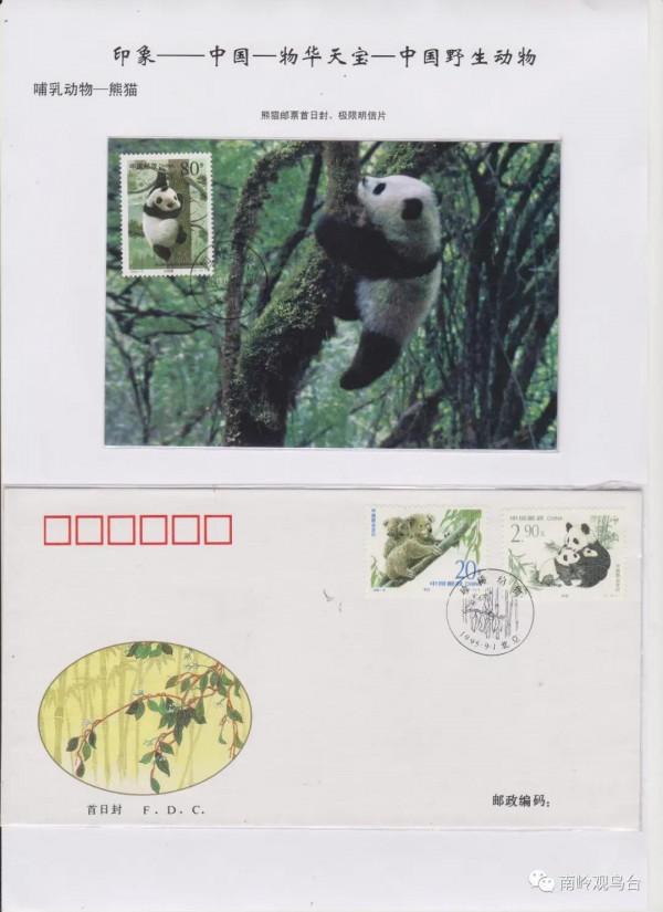 中國的生物多樣性&mdash;大熊貓