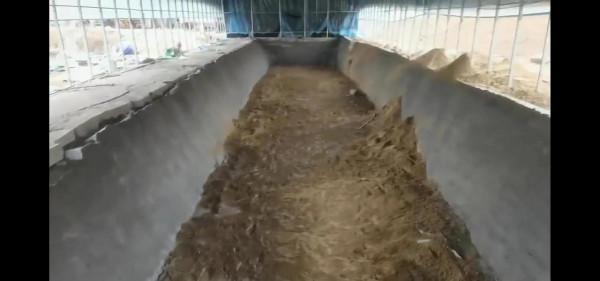 大棚室內釣魚邀你共同成長