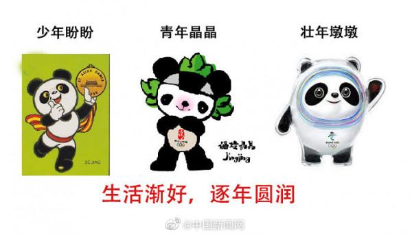熊貓的伙食越來越好了 盼盼晶晶墩墩逐年圓潤