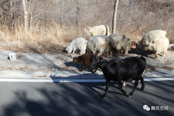 齋堂，古往今來為兵家必爭之地，有“京西重鎮”之稱