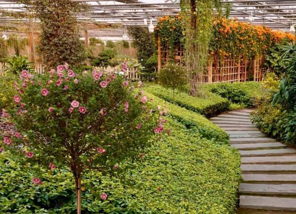 【FENG娛】速看!世界花卉大觀園裡有什麼?細數那些藏不住的精彩! 【FENG娛】速看!世界花卉大觀園裡有什麼?細數那些藏不住的精彩!