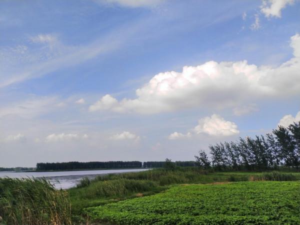 大禹、大邑商、大邑周與邑人，迷失的夏商周歷史文化之謎終於解開