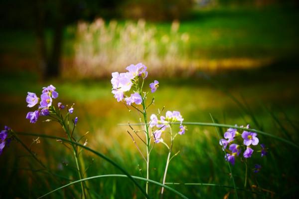 人到晚年，一旦老伴走了，再難過也別做以下幾件糊塗事