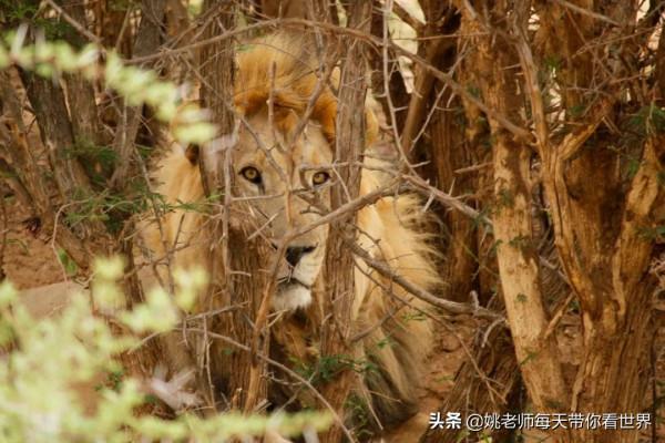 2022年即將新開業的10家奢華酒店，新旅程新遠方